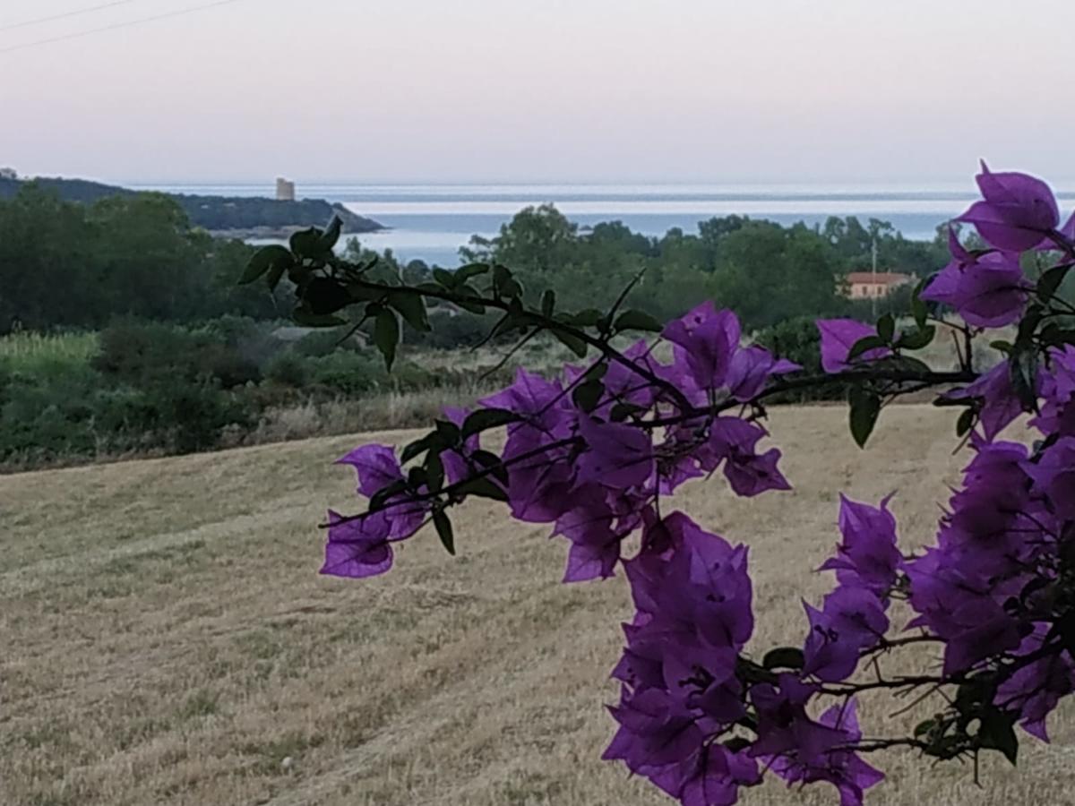 Vacanza In Ogliastra Tertenìa Exterior foto